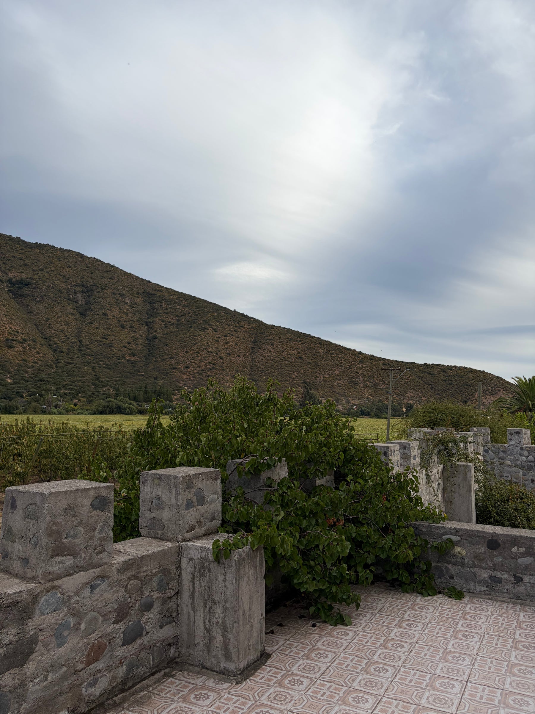 Foto de la propiedad